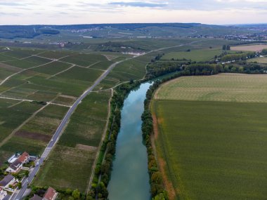 Eylül 'de Hautvillers, Cumieres, Marne River Valley, Champange, Fransa yakınlarındaki yeşil başbakan cru şampanya bağları ve tarlalarına panoramik hava manzarası