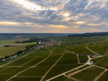 Panoramic aerial view on green premier cru champagne vineyards and fields near village Hautvillers and Cumieres and Marne river valley, Champange, France in September clipart