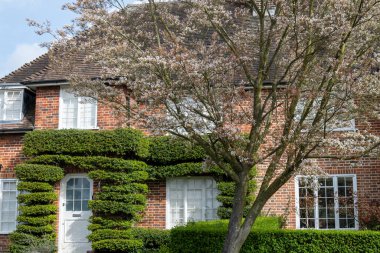 Kuzey Londra sokaklarında yürümek, baharda kırmızı tuğlalı evler ve çiçek açan bahçeler, şehir hayatı, Mart ayında Londra, İngiltere 'de zengin mahalleler.
