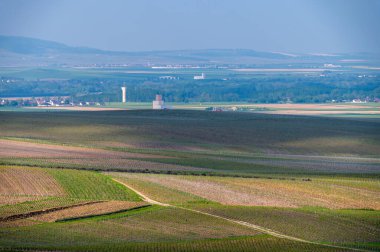 Cramant yakınlarında yeşil büyük cru üzüm bağları olan bahar manzarası, Fransa 'nın Şampanya Bölgesi, Avize Bölgesi. Cote des Blanc 'ın kireçli topraklarında beyaz şarap üzümü yetiştiriyorum..
