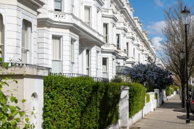 Notting Hill, baharda beyaz evler ve çiçek açan bahçelerle sokaklarda yürümek, şehir hayatı, ilkbaharda Londra, İngiltere 'de varlıklı mahalleler.