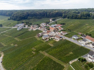 Cramant ve Avize yakınlarındaki Grand Cru üzüm bağlarının havadan görünüşü, Fransa 'nın Şampanya Bölgesi. Beyaz Chardonnay şarabının yetiştirilmesi ve hasat edilmesi Cote des Blancs 'ın kireçli topraklarında üzümdür.