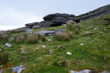 Eski ahşap trenle Larrun 'a ya da La Rhune' ye giden Larhune Dağı, Fransa ve İspanya sınırındaki Pireneler 'in batı ucunda geleneksel Bask İşçi Partisi ve Navarra eyaletlerinde yer alır..