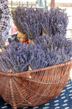 Valensole, Provence, Fransa 'da dükkanda satılık aromalı lavanta ya da lavanta çiçekleri