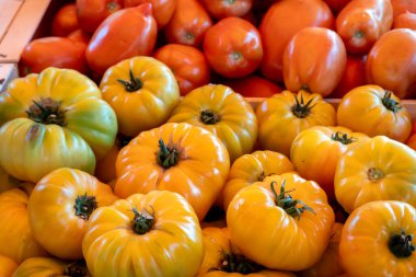Yaz mevsiminde Provence 'deki çiftçi pazarında rengarenk lezzetli Fransız domatesleri, Fransız sebzeleri.