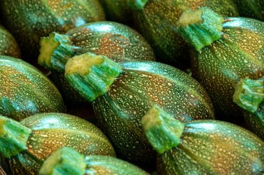 Taze yeşil kabak sebzeleri Fransız çiftçi pazarına yakın plan