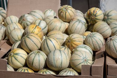 Carpentras kasabasından tatlı olgun kavunlar çiftçi pazarı, Provence, Fransa, mevsimlik yerel yiyecekler