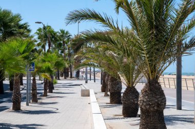 Sanlucar de Barrameda 'daki Qudalquivir nehrinin altın kumlu plajları ve gezinti güvertesi, küçük Endülüs kasabası, İspanya yazın
