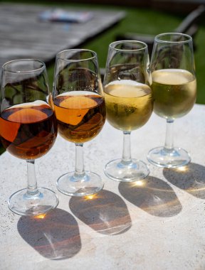 Sherry fino, manzanilla, kremalı Jeremy Sevilla 'nın eski Triana semtinin çatısında Sevilla evleri ve kiliseleri gören şarap kadehleri, şarap kadehleri, şarap kadehleri