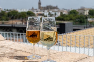 Sevilla 'nın eski Triana semtinin çatısında şarap tatan farklı şeri Jeremy Sevilla evleri, kiliseler, şarap kadehleri, Güney İspanya, Endülüs manzaralı