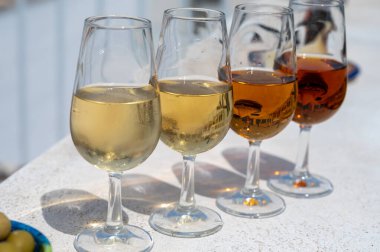 Sherry fino, manzanilla, kremalı Jeremy Sevilla 'nın eski Triana semtinin çatısında Sevilla evleri ve kiliseleri gören şarap kadehleri, şarap kadehleri, şarap kadehleri