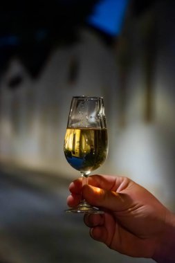 Jerez de la Frontera 'da arka planda şarap mahzenleri, şehir manzarası, Endülüs, İspanya' da şarap kadehleri servis ediliyor.