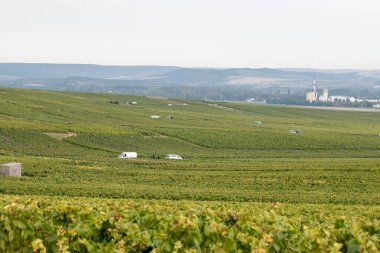 Cramant ve Avize yakınlarındaki Grand Cru üzüm bağları ile manzara, bölge Champagne, Fransa. Beyaz Chardonnay şarabının yetiştirilmesi ve hasat edilmesi Cote des Blancs 'ın kireçli topraklarında üzümdür.