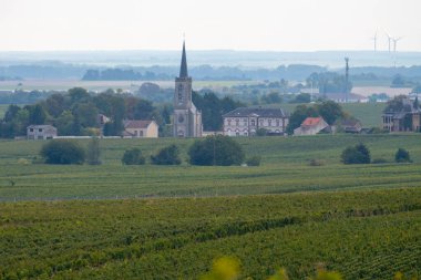 Cramant ve Avize yakınlarındaki Grand Cru üzüm bağları ile manzara, bölge Champagne, Fransa. Beyaz Chardonnay şarabının yetiştirilmesi ve hasat edilmesi Cote des Blancs 'ın kireçli topraklarında üzümdür.