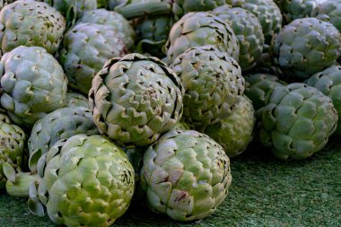 New harvest of fresh ripe green organic artichokes heads on local farmers market in Dordogne, France clipart