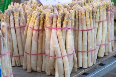Souillac, Dordogne, Fransa 'daki yerel çiftçi pazarında satılık taze çiğ, pembe kuşkonmaz sebzeleri. Payrignac 'ta yerel üretilen 1 kg deste