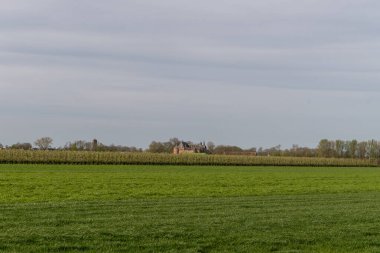 Hollanda kırsal kesiminde şato, elma ağaçları meyve bahçeleri ve yeşil çimenler, Hollanda baharı