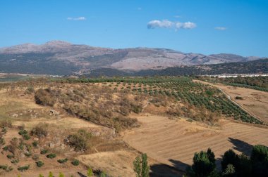 Yeşil vadi ve dağlardaki panoramik manzara Ronda beyaz ormanları, Endülüs, İspanya, Ronda yakınlarında yürüyüş