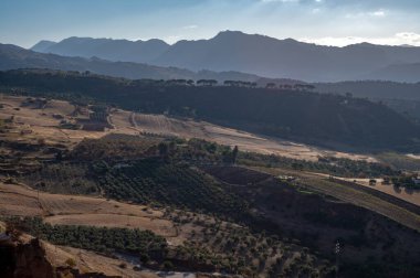 Yeşil vadi ve dağlardaki panoramik manzara Ronda beyaz ormanları, Endülüs, İspanya, Ronda yakınlarında yürüyüş