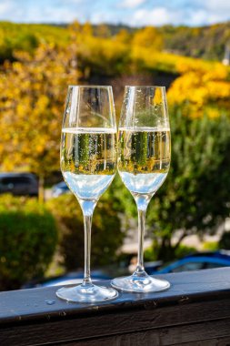 Beyaz şarap tatma, Lüksemburg 'daki Moselle Nehri vadisinde mağaralarda kıvrılma metodu, teraslı üzüm bağlarında şarap ve manzara.