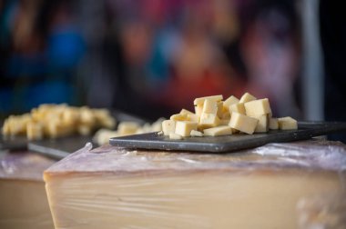 İtalyan peynir dükkanında farklı sert peynirlerin tadına bakmak, güvertede tatma küpleri.
