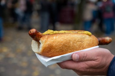 Alman sokak yemeği, sosisli sandviç ızgara sosis ve hardallı ekmek, fast food.