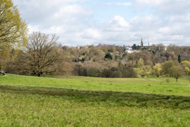 Mart 'ta Parliament Hill' de ve Hampstead Heath 'deki eski meşe ağaçları, tepeler ve manzaralı yürüyüş, Kuzey Londra, İngiltere