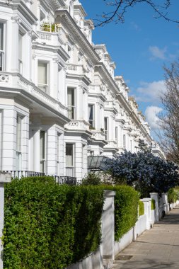 Notting Hill, baharda beyaz evler ve çiçek açan bahçelerle sokaklarda yürümek, şehir hayatı, ilkbaharda Londra, İngiltere 'de varlıklı mahalleler.