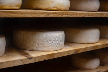 Biarritz, Fransa, Bask Bölgesi ve Pireneler 'de satılık koyun, inek ve keçi peyniri, Tomme, Fermier Brebis, çiftçi peyniri, kapat.