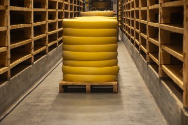 Aging rooms with many shelves in cheese caves, central location for aging of wheels, rounds of Comte cheese from four months to several years made from raw cow milk, Jura, France clipart