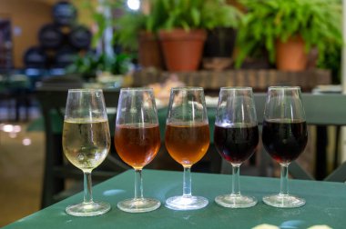 Beş fıçı şarap, fino, manzanilla, olorosso, amontillado, pedro ximenez jerez şarapları eski meyhanede, şarap tatma, Sanlucar de Barrameda, Cadiz, Endülüs, İspanya