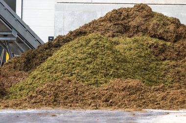Şarap makinesi şarap, şarap, şarap, şampanya, köpüklü şarap üretimi, Grand Cru köylerinde Oger ve Mesnil-sur-Oger, şampanya, Fransa