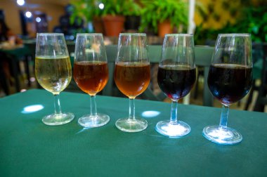Beş fıçı şarap, fino, manzanilla, olorosso, amontillado, pedro ximenez jerez şarapları eski meyhanede, şarap tatma, Sanlucar de Barrameda, Cadiz, Endülüs, İspanya