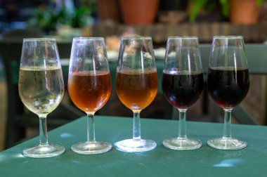 Beş fıçı şarap, fino, manzanilla, olorosso, amontillado, pedro ximenez jerez şarapları eski meyhanede, şarap tatma, Sanlucar de Barrameda, Cadiz, Endülüs, İspanya