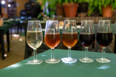 Beş fıçı şarap, fino, manzanilla, olorosso, amontillado, pedro ximenez jerez şarapları eski meyhanede, şarap tatma, Sanlucar de Barrameda, Cadiz, Endülüs, İspanya