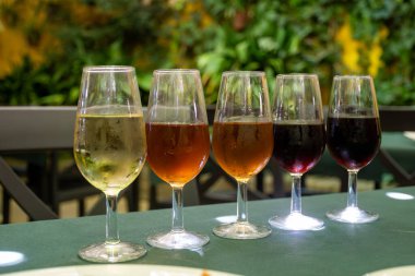 Beş fıçı şarap, fino, manzanilla, olorosso, amontillado, pedro ximenez jerez şarapları eski meyhanede, şarap tatma, Sanlucar de Barrameda, Cadiz, Endülüs, İspanya