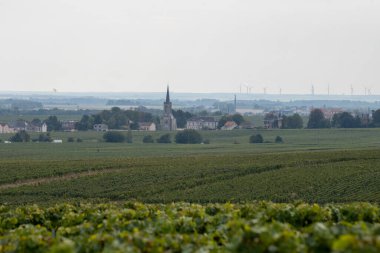 Cramant ve Avize yakınlarındaki Grand Cru üzüm bağları ile manzara, bölge Champagne, Fransa. Beyaz Chardonnay şarabının yetiştirilmesi ve hasat edilmesi Cote des Blancs 'ın kireçli topraklarında üzümdür.