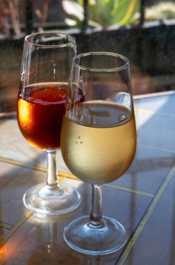 Sherry fino, manzanilla, olorosso şarabı, Jerez de la Frontera, Cadiz, Endülüs, İspanya 'nın eski kesimindeki Endülüs evinde servis edilen palomino beyaz üzümünden yapılmış güçlendirilmiş şarap.