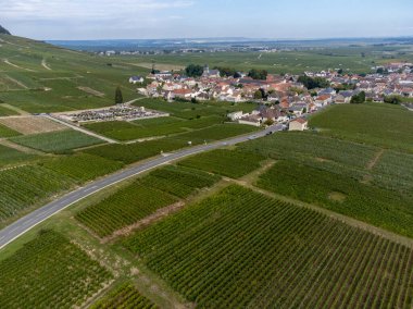 Aerial view on green grand cru vineyards near Oger and Mesnil-sur-Oger, region Champagne, France. Cultivation of white chardonnay wine grape on chalky soils of Cote des Blancs, harvest clipart