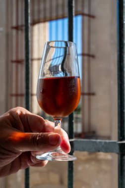 Bir bardak şeri fino, manzanilla, şarap, palomino beyaz üzümleri ve arka planda Endülüs vitrinlerinden güçlendirilmiş şarap, Jerez de la Frontera, İspanya