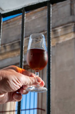 Bir bardak şeri fino, manzanilla, şarap, palomino beyaz üzümleri ve arka planda Endülüs vitrinlerinden güçlendirilmiş şarap, Jerez de la Frontera, İspanya