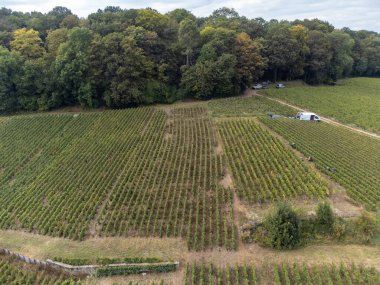 Cramant ve Avize yakınlarındaki Grand Cru üzüm bağlarının havadan görünüşü, Fransa 'nın Şampanya Bölgesi. Beyaz Chardonnay şarabının yetiştirilmesi ve hasat edilmesi Cote des Blancs 'ın kireçli topraklarında üzümdür.