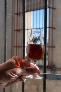 Bir bardak şeri fino, manzanilla, şarap, palomino beyaz üzümleri ve arka planda Endülüs vitrinlerinden güçlendirilmiş şarap, Jerez de la Frontera, İspanya