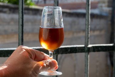 Bir bardak şeri fino, manzanilla, şarap, palomino beyaz üzümleri ve arka planda Endülüs vitrinlerinden güçlendirilmiş şarap, Jerez de la Frontera, İspanya