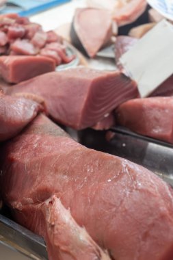 Balıklar, karidesler, karidesler, karidesler, deniz kabukları, buzdaki yumuşakçalar Jerez de la Frontera, Endülüs, İspanya 'da balık pazarında.