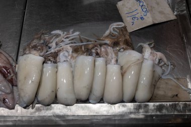 Assortment of fresh ocean daily catch of white Spanish chocos cuttlefish, on ice on fish market in Jerez de la Frontera, Andalusia, Spain clipart