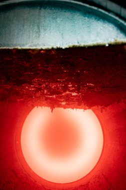 Flor, eski Endülüs şarap mahzenindeki solera sistemlerindeki mayanın filmi fıçılarda yaşlanan şarap, Jeremy güçlendirilmiş şarap Jerez de la Frontera, Endülüs, İspanya