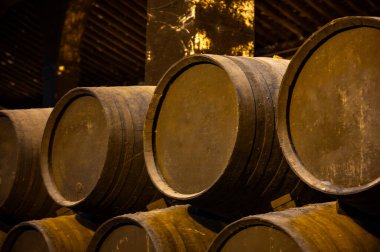 Eski Bodega 'daki solera sistemi, Endülüs şarap mahzeni, fıçılarda farklı şeri şarapları, Jeremy güçlendirilmiş şarap üretimi, Jerez de la Frontera, Endülüs, İspanya