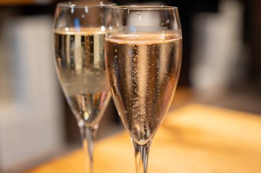 Beyaz şarap tatmak, Lüksemburg 'daki Moselle Nehri vadisindeki mağaralarda, şarap turu ve ziyaret mağaralarında geleneksel şampanya metodları.