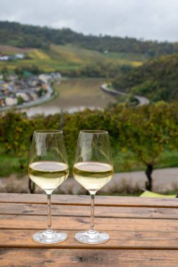 Glasses of white dry riesling wine made on Moselle river valley in Germany or Luxembourg, view on terraced vineyards in Nittel clipart